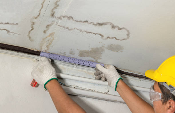 Reliable Mold Remediation contractor in Porterville, CA by Water Damage Irwin
